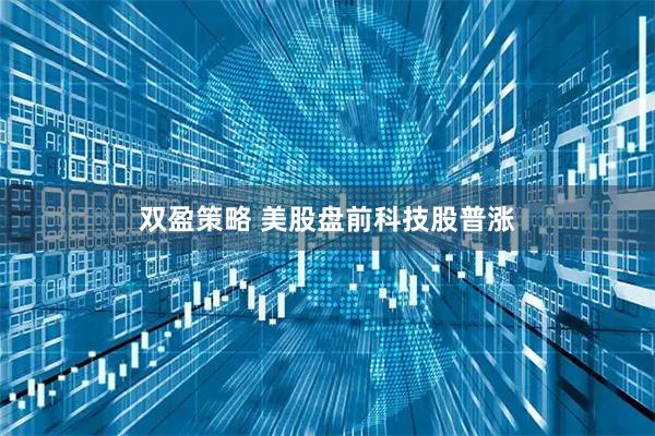 双盈策略 美股盘前科技股普涨